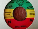 BOB MARLEY & THE WAILERS SOUL REBEL RUN FOR COVER KILLER REGGAE ROOTS