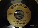 NORTHERN SOUL ; THE PROFILES / TAKE A GIANT STEP ( GOLDIE )