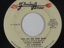 Funk 45 - Gloria Walker & Chevelles - You Hit The Spot - Flaming Arrow - mp3