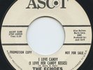 Hear - Rare Doo Wop/Teen 45 - The Echoes - I Love Candy - Ascot # 2188