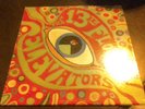 The Thirteenth Floor Elevators psychedelic LP vinyl Record