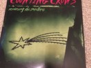 Counting Crows Recovering The Satellites LP