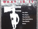 WHAT IS IT ? LP GERMS CONTROLLERS DILS EYES LA PUNK
