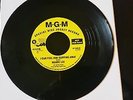 MAMIE LEE - I CAN FEEL HIM SLIPPING AWAY