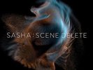 Sasha-Late Night Tales Presents Sasha : Scene Delete  VINYL NEW