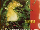 Rare NIRVANA 