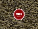 ISIS - In the Absence of Truth - 2 x LP - NEW COPY - Black Vinyl