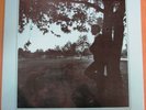 DAVID ALLYN In The Blue of Evening LP MINT SEALED ORIG DISCOVERY JOHNNY MANDEL