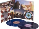 Edward Sharpe & Magnetic Zeros Up From Below 2xLP Blue Vinyl Newbury Comics /300