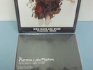 Florence + The Machine 2010 Dog Days Are Over/Remix 7