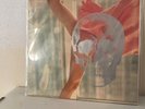 MELVINS Suicide In Progress Totimoshi Split Mackie O Art Edition Plus Original