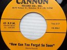 THE SUGAR TONES doowop 45 HOW CAN YOU FORGET SO SOON b/w BABY  M- Cannon   FM157