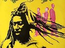 BUNNY WAILER - Bunny Wailer Sings The Wailers (LP) (G+/VG-)