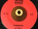 The Turtles -Pungfoo Watusi- Popcorn Tittyshaker Surf 45 on Tortoise - Hear