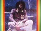 HOLT, Errol Flabba - Roots Radics Dub - Vinyl (LP)