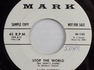GARY SHELTON (Troy Shondell) Stop The World (My Baby’s Gone) RARE ROCKABILLY