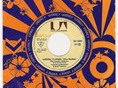 HAWKWIND PEERU PROMO 7