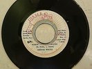DENNIS WALKS - WASTE TIME IN BABYLON // VERSION / [ UJAMA ]