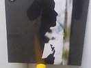 Paul Weller Wild Wood Vinyl LP-New & Sealed
