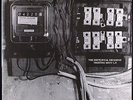 NOCTURNAL EMISSIONS - Fruiting Body L.P. - LP - Sterile Records
