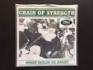 Chain Of Strength 'What Holds Us Apart' Clear Vinyl.