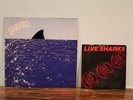 SHARKS KID SISTER YOUR CAR OR MINE '80 + LIVE 7 BANG A GONG HEY PRIVATE AOR ROCK
