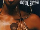 Pete Rock - Soul Survivor  Vinyl LP + 7