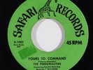 Doo Wop 45 PERSONALITIES Yours To Command/Woe Woe Baby on Safari VG++