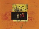 BASEMENT COLOURMEINKINDNESS LP VINYL 33RPM NEW