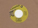 Big Lee Dowell And The Cannonballs - What I Done Wrong - Cannonball - Northern