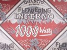 QUANTIC presents FLOWERING INFERNO - 1000 Watts - Vinyl (LP)