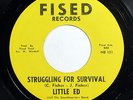 LITTLE ED & SOUNDMASTERS BAND-STRUGGLING FOR SURVIVAL /IT'S A DREAM ON FISED