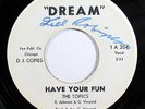 THE TOPICS-HAVE YOUR FUN ON DREAM RARE NORTHERN 45-VG+ HEAR