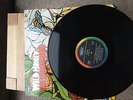 The Beach boys Vinyl Lp 