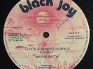 WAYNE SMITH - LIFE IS A MOMENT IN SPACE - BLACK JOY ( KILLER ROOTS 12 )