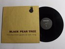 THE MOUNTAIN GOATS/ KAKI KING Black Pear Tree LP Cadmean Rec. CD-002 VG++ 4B