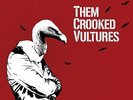 Them Crooked Vultures (2009, Vinyl NIEUW)2 DISC SET