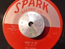 RARE 45 - THE ROBBINS - WRAP IT UP /RIOT IN CELL BLOCK #9 Spark R&B HEAR