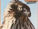 Marauder  Blackfoot Vinyl Record