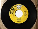 ZZ TOP Salt Lick/ Miller's Farm 45 rpm Scat 500 RARE TEXAS GARAGE PSYCH HEAR mp3