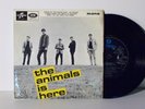 The Animals ?– The house of the rising sun