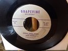 ROCKABILLY TITTYSHAKER - STEVE DOUGLAS - HAD - ROCKIN GREEN SLEEVES