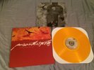 Poison The Well ?Tear From The Red Gold Vinyl LP hopefall bled glassjaw cave in