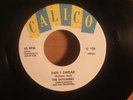 SKYLINERS, THE---THIS I SWEAR  (DooWop 45)