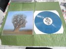 LP PINK FLOYD  