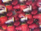 THEE OH SEES - FLOATING COFFIN NEW VINYL