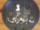 Jesus Lizard Liar Picture Disc Vinyl 12