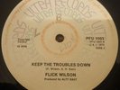 Flick Wilson Keep The Troubles Down Killer Roots 12