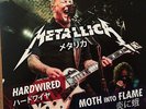 Metallica Hardwired / Moth into flame rare vinyl 7 inch Single