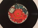 THE PUNCHERS Sons Of Thunder Only You Understand PAMA PUNCH PH46 Vinyl EX Perry